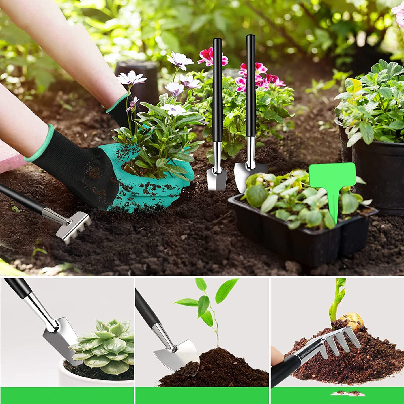 10-tlg. Sukkulenten Pflegeset – Präzise Gartenwerkzeuge für Zimmerpflanzen – Mit Schere & Handschuhen – Mini Garten Kit