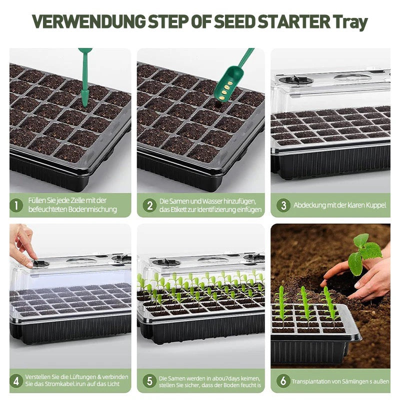 40er-Set Anzuchtbox mit LED Pflanzenlampe – Mini Gewächshaus & Pflanzenwachstumslicht für Kräuter & Samen