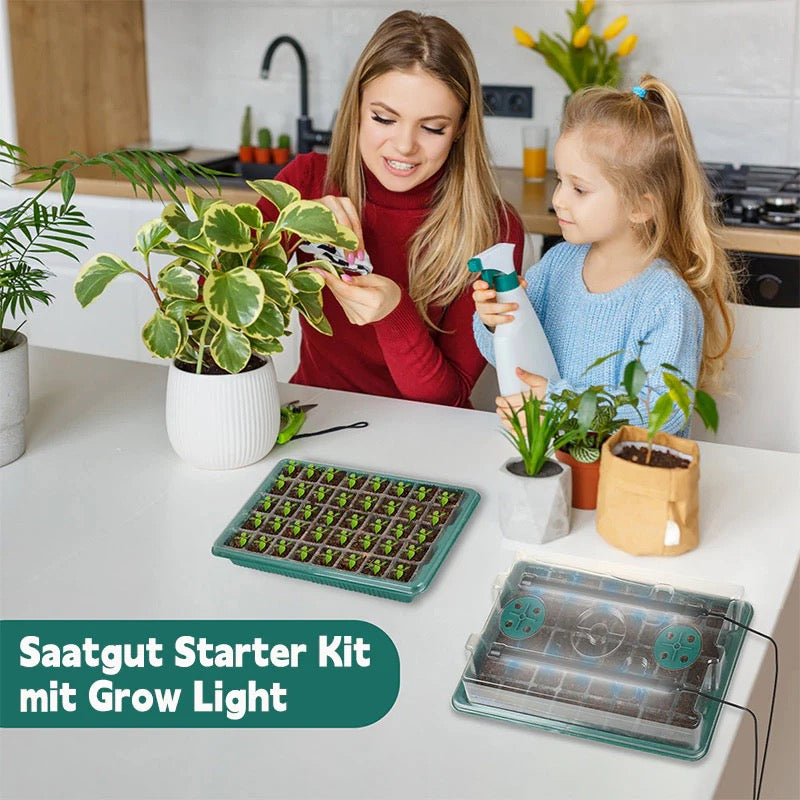 40er-Set Anzuchtbox mit LED Pflanzenlampe – Mini Gewächshaus & Pflanzenwachstumslicht für Kräuter & Samen