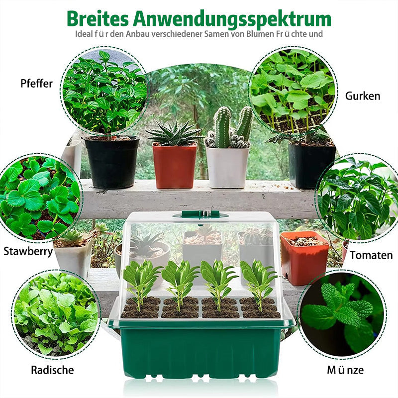 Anzuchtbox mit Licht und Belüftungsventil – kleine Pflanzschale für Zimmerpflanzen & Samen