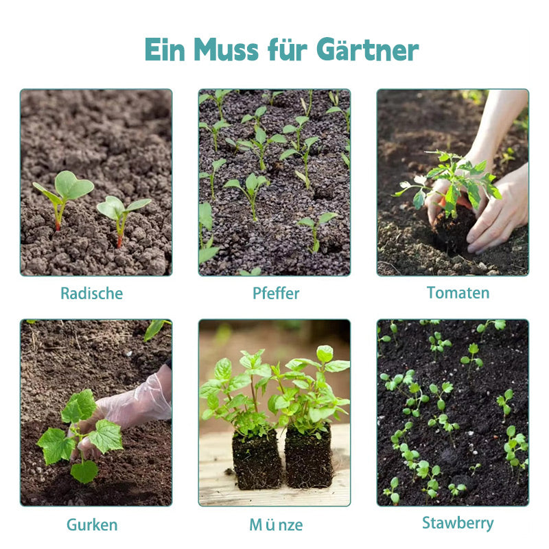 Anzuchtbox mit Licht und Belüftungsventil – kleine Pflanzschale für Zimmerpflanzen & Samen