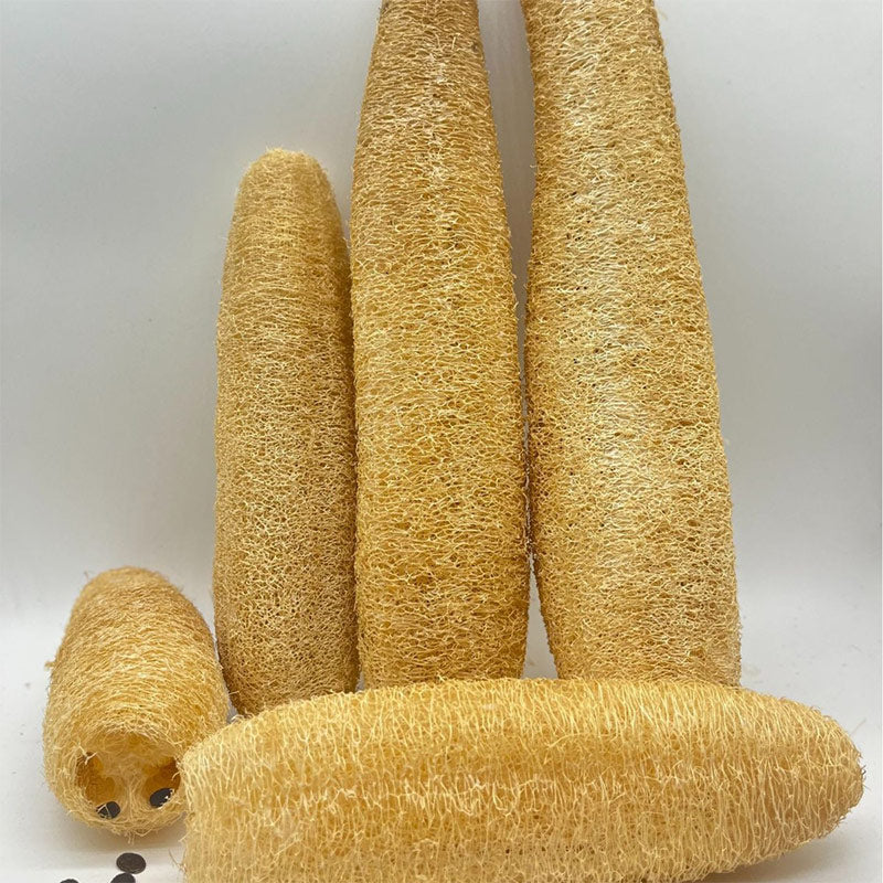 Eco-Friendly Natural Luffa Scrubber – Multi-Purpose Kitchen & Bath Cleaning Sponge for Dishes, Pots, Countertops & Body