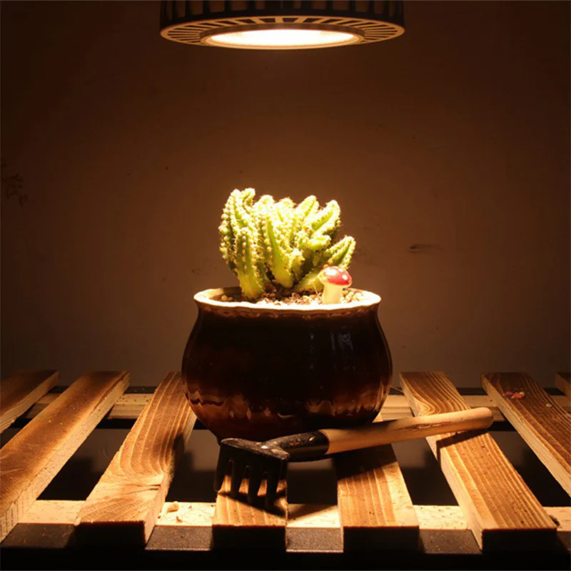 Full Spectrum LED Grow Light – Indoor Plant Lamp for Herbs, Flowers & Seedlings