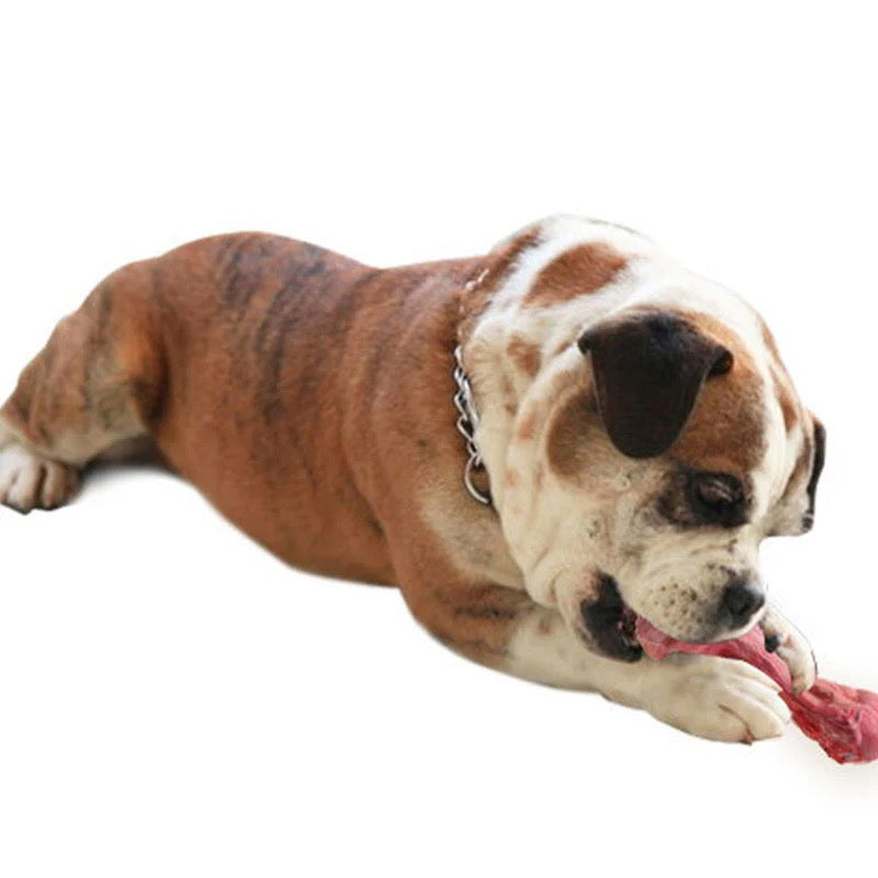 Hundespielzeug aus Gummi – Kauknochen für Hunde, zum Spielen und Zahnpflege