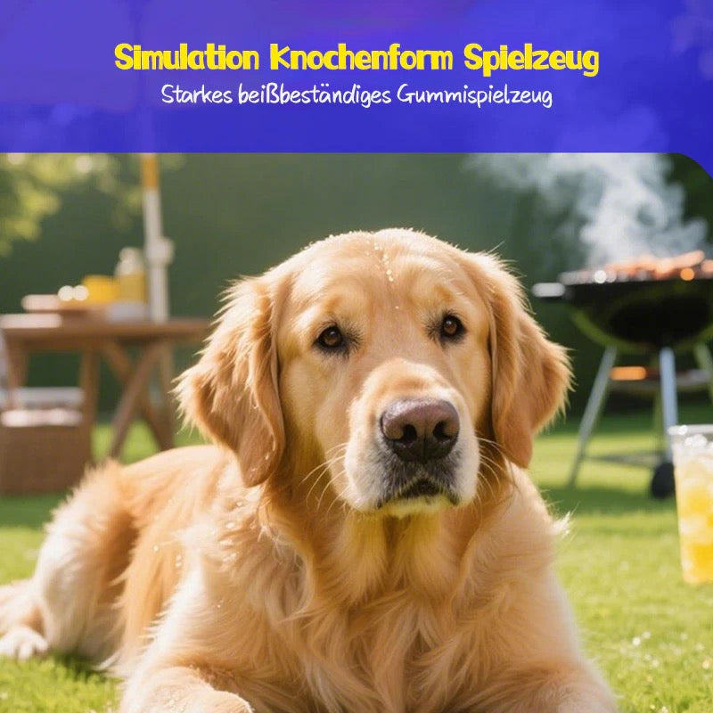 Hundespielzeug aus Gummi – Kauknochen für Hunde, zum Spielen und Zahnpflege