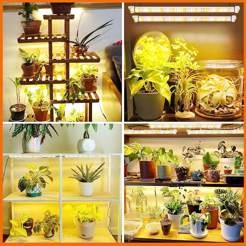 LED Pflanzenlampe Streifen – Vollspektrum Pflanzenlicht mit 4-stufiger Dimmfunktion für Blumen & Kräuter