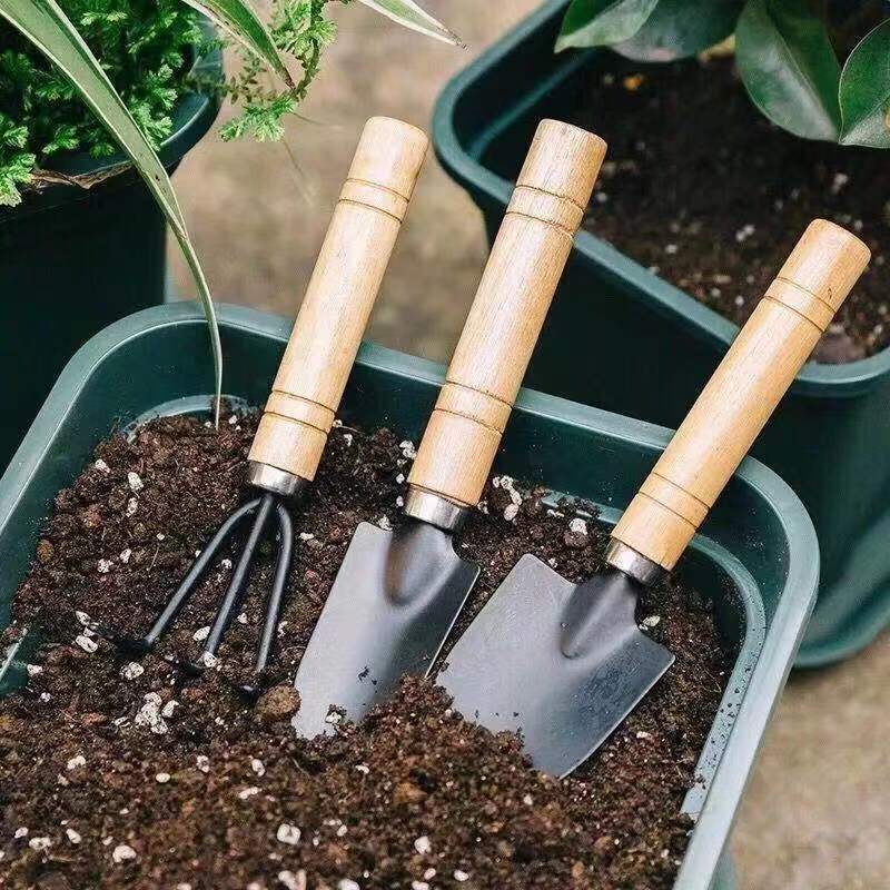 Mini Gartenwerkzeug Set 3-teilig – Handwerkzeuge für Bonsai, Zimmerpflanzen & Pflanzpflege, Garten Zubehör