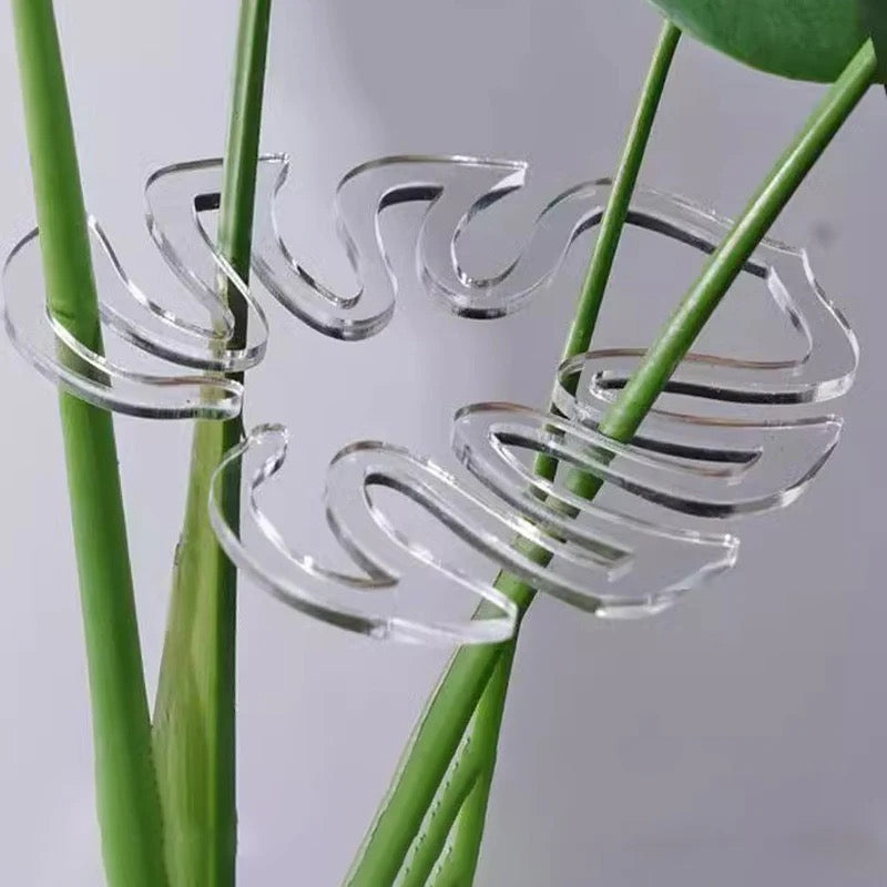 Monstera Pflanzenstütze – Stab & Gestell zur stabilen Unterstützung von Pflanzenzweigen