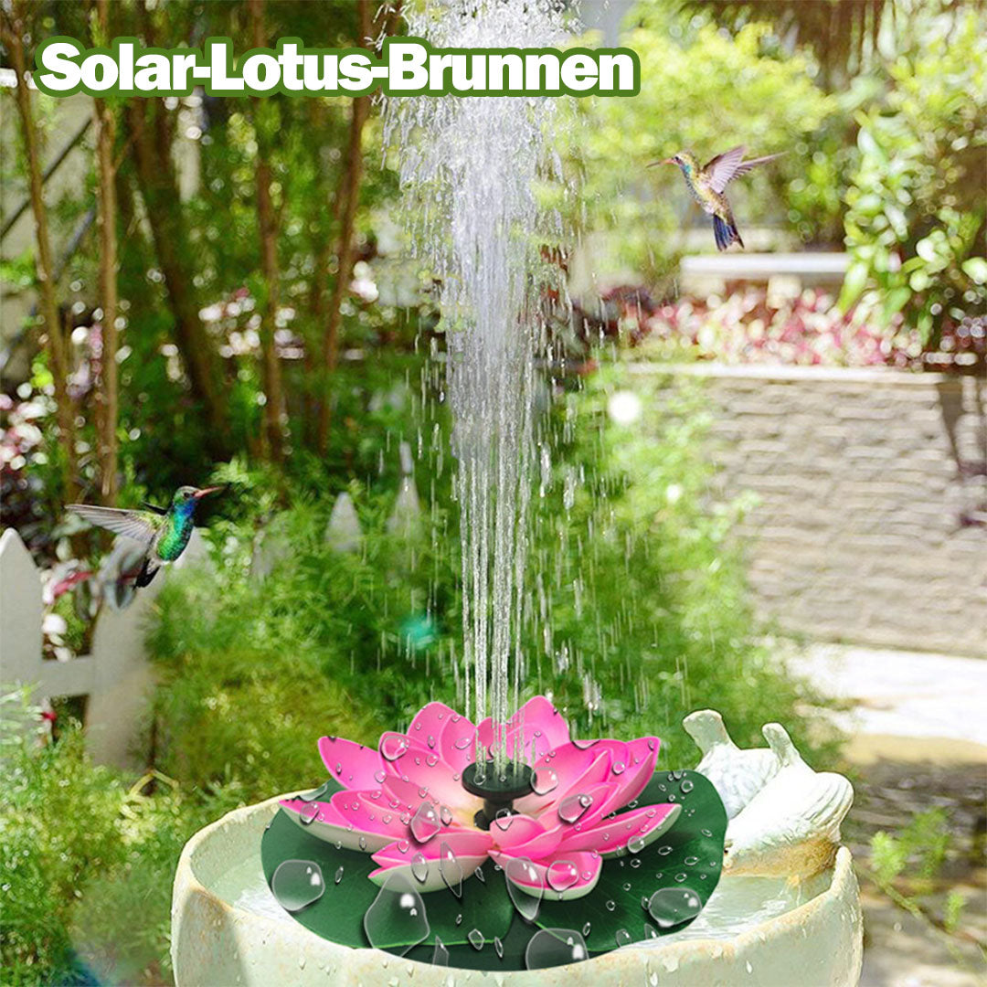 Lotus-Solarbrunnen – Selbstlaufender Springbrunnen für den Garten